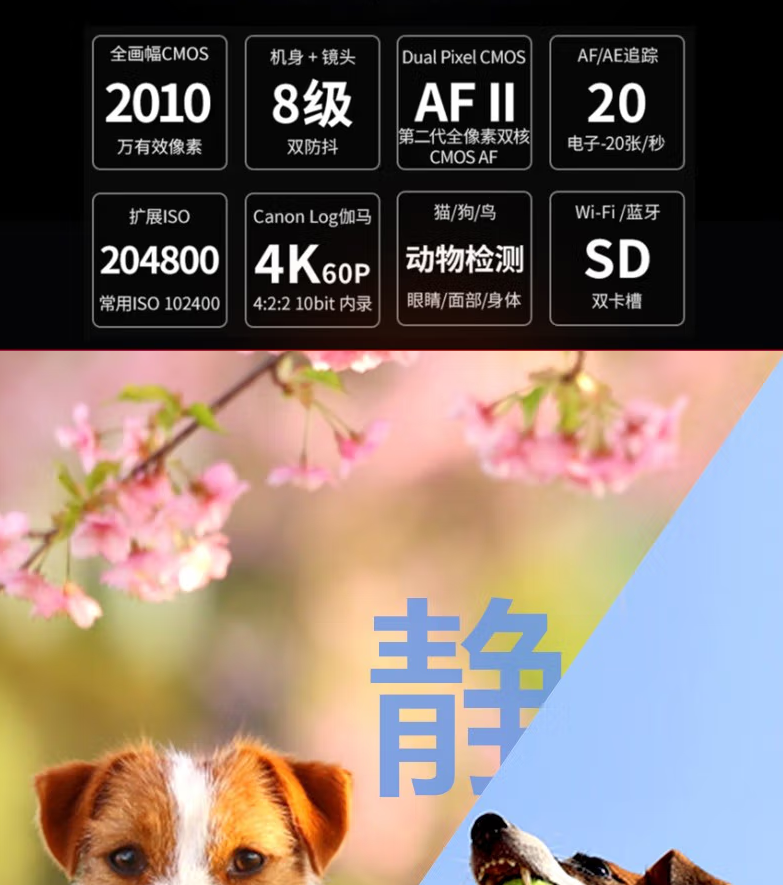 相機(jī)1.png